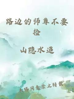 路边的师尊不要捡