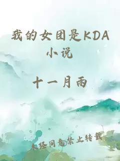 我的女团是KDA小说