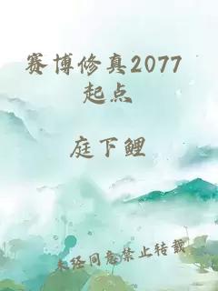 赛博修真2077 起点