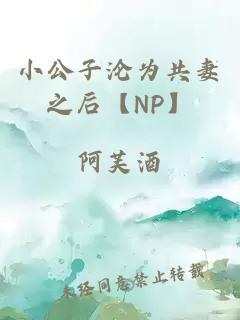 小公子沦为共妻之后【NP】