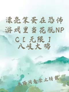 漂亮笨蛋在恐怖游戏里当花瓶NPC［无限］