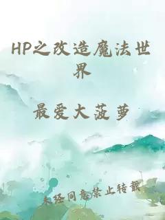 HP之改造魔法世界