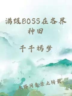 满级BOSS在各界种田