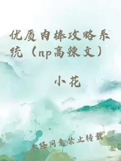 优质肉棒攻略系统（np高辣文）