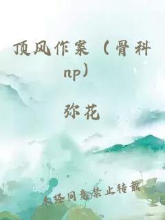 顶风作案（骨科np）