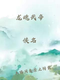 龙魂武帝