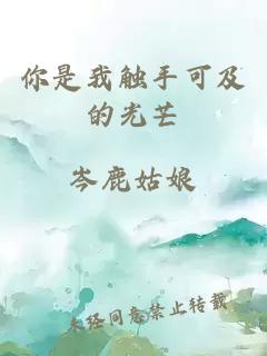 你是我触手可及的光芒